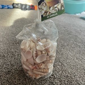 Shells